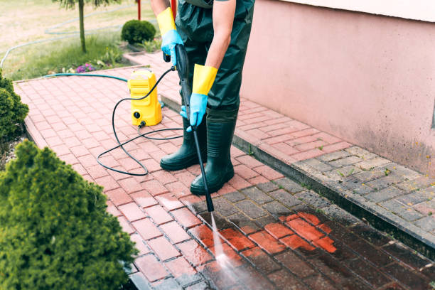 Best Patio and Deck Pressure Washing  in Siesta Acres, TX